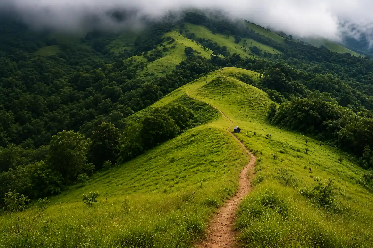 Kashmir