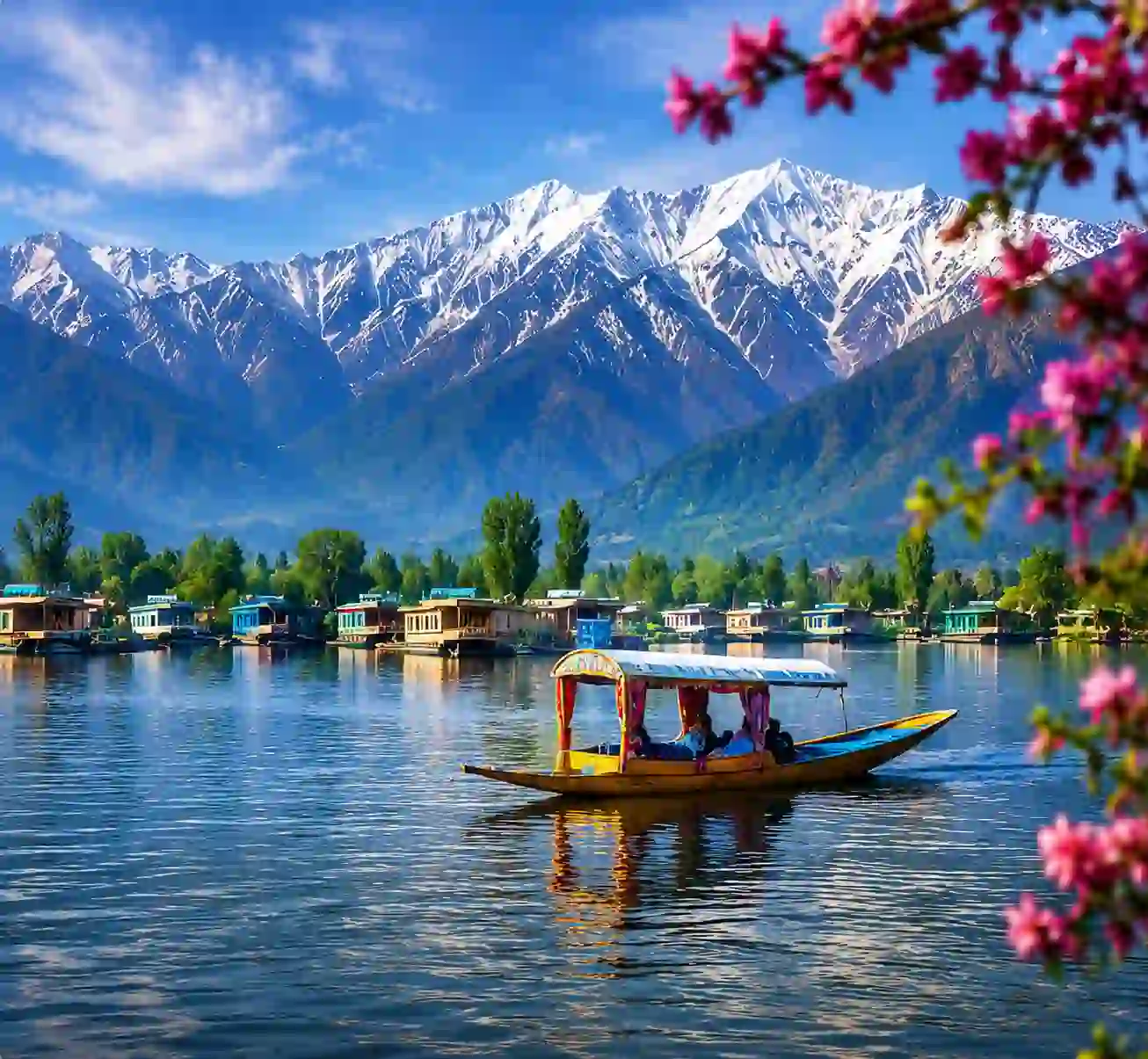 kashmir
